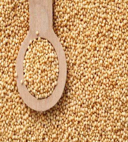 Amaranthus Processing Unit