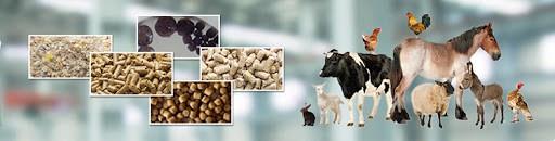 Animal Feed Making Unit