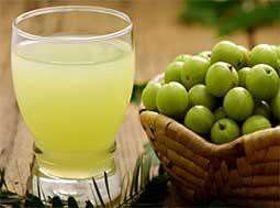 Anola (Amla) Juice Manufacturing Unit