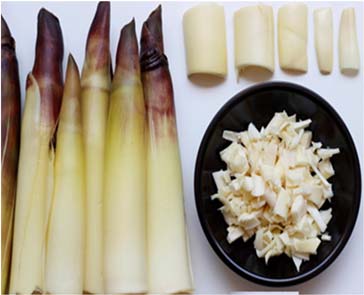 Bamboo Shoot Pickle Unit