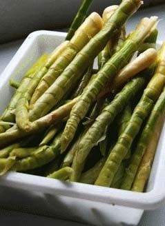 Bamboo Shoot Products (Pickle and Canned Shoot)