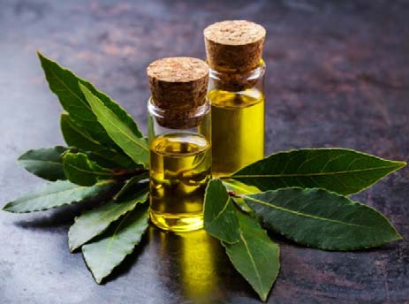 Bay Leaf Essential Oil Unit