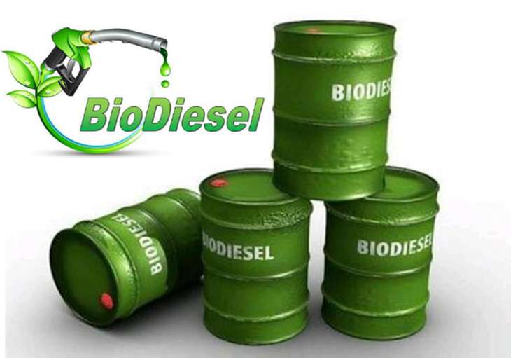Biodiesel Manufacturing Unit