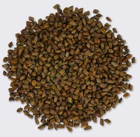 Cassia Seeds Manufacturing Unit