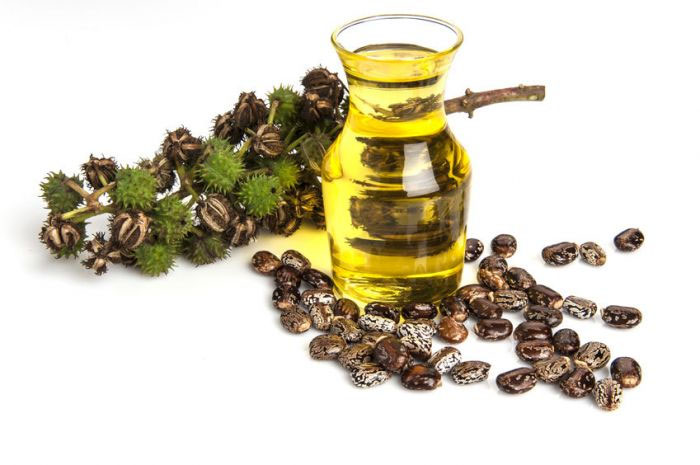 Castor Oil Unit