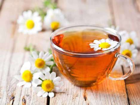 Chamomile Tea Manufacturing Unit