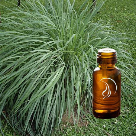 Citronella Oil Manufacturing Unit