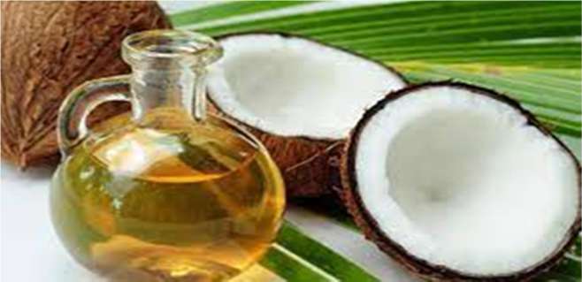 Coconut Honey Manufacturing Unit