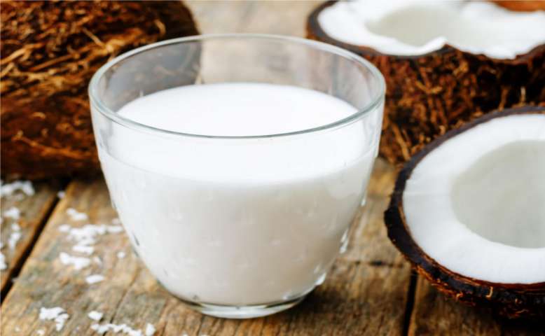 Coconut Milk Processing Unit