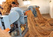 Coir/Coconut Fibre Extraction