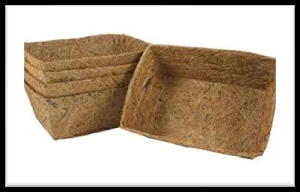 Coir Moulded Tray