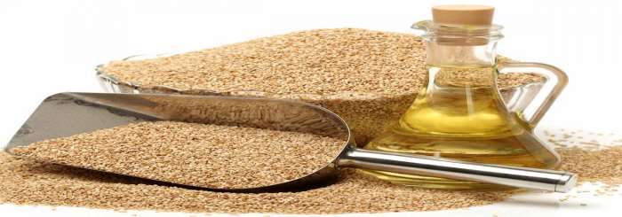 Cold Pressed Sesame Oil Manufacturing Unit