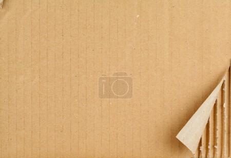 Corrugated Boxes Manufacturing Unit