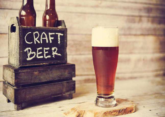 Craft Beer Manufacturing Unit