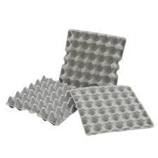 Egg Tray Manufacturing Unit