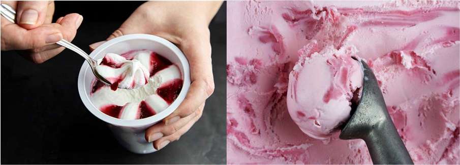 Frozen Yogurt Manufacturing Unit