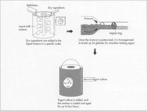 Frozen Yogurt Manufacturing Unit