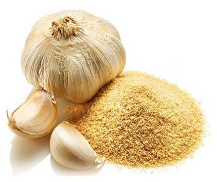 Garlic Powder Making Unit