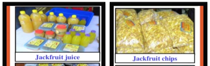 Jackfruit Processing