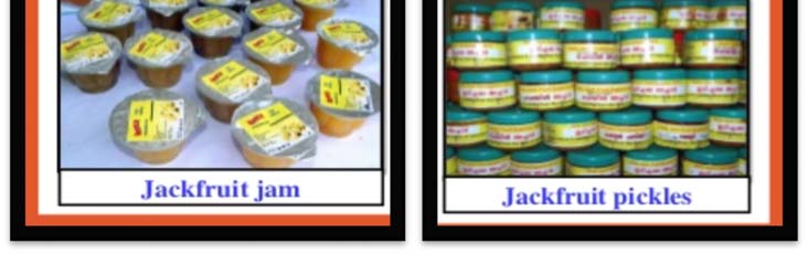 Jackfruit Processing