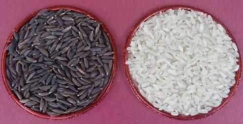 Kala Namak Chawal Processing Unit
