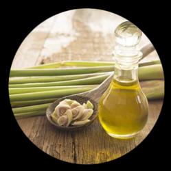 Lemon Grass Oil
