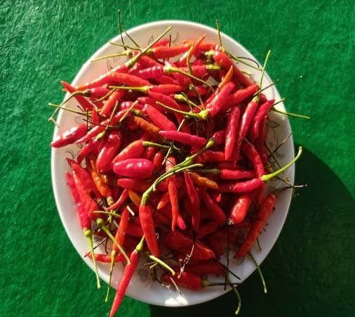 Mizo Chilli Pickle Making Unit
