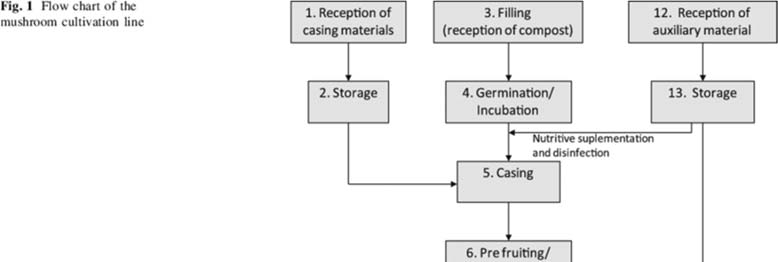 Mushroom Cultivation & Processing
