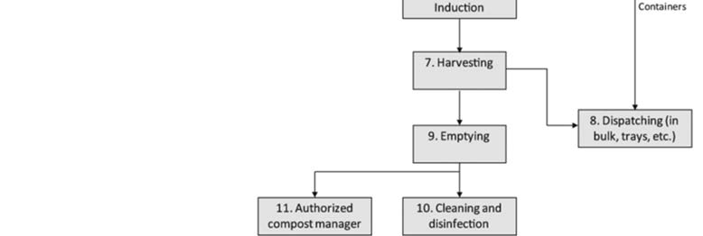 Mushroom Cultivation & Processing