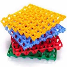 Plastic Egg Tray Manufacturing Unit
