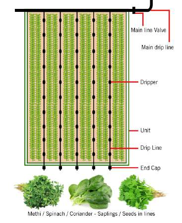 Rooftop Farming Business