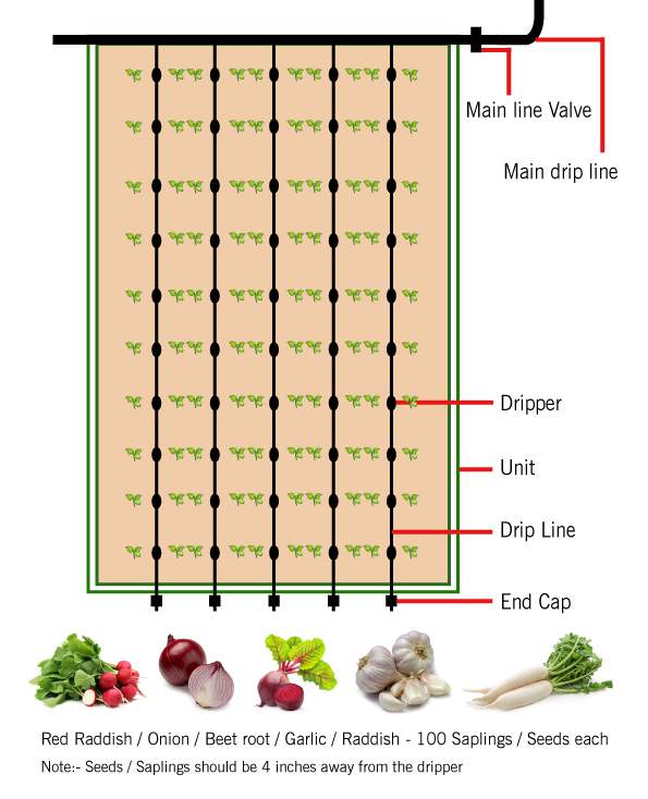 Rooftop Farming Business