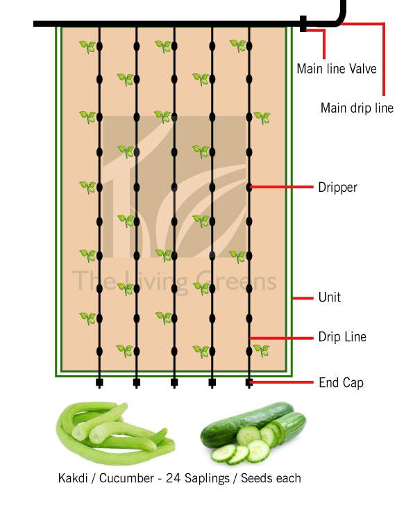Rooftop Farming Business